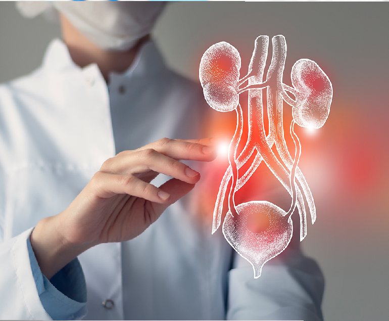 Nephrology Department